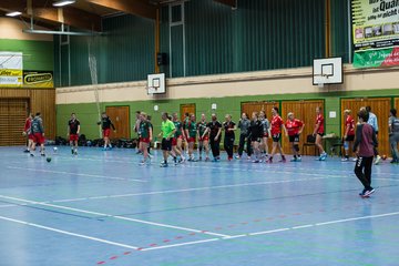 Bild 263 - Frauen HSG Krem/Muensterdorf - HG OKT 3 : Ergebnis: 33:21